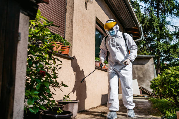 Best Exterminator Services  in Derry, PA