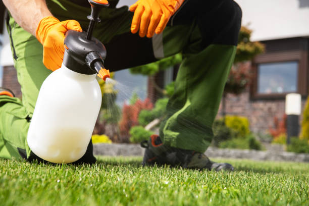 Best Best Pest Control Companies  in Derry, PA