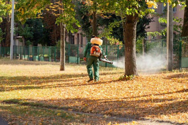 Best Pest Prevention Services  in Derry, PA